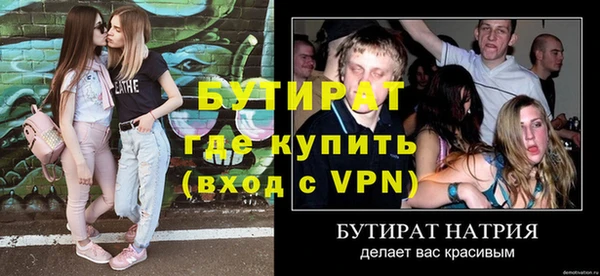 гашик Алексин