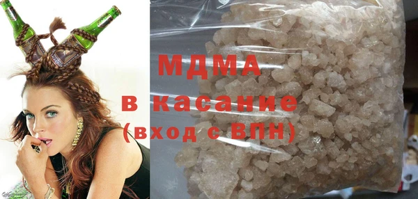 гашик Алексин
