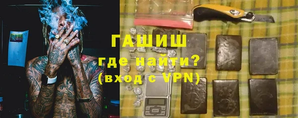 гашик Пестово